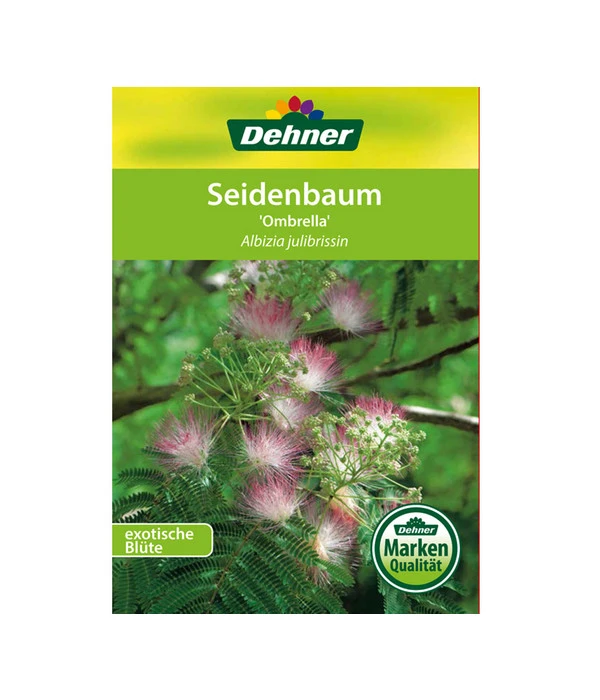 Seidenbaum - Seidenakazie 'Ombrella' 7 Seidenbaum - Seidenakazie 'Ombrella' – Bild 5