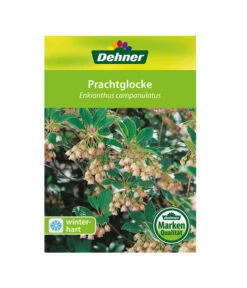 Prachtglocke -Markenqualität 00000000 Enkianthus campanulatus 2016 1