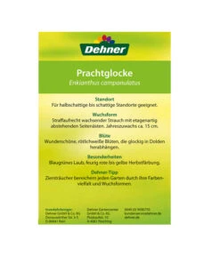 Prachtglocke -Markenqualität 00000000 Enkianthus campanulatus 2016 2