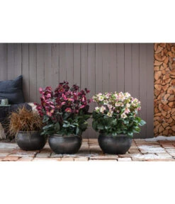 Dehner Keramik-Topf Bavaria, Bauchig -Markenqualität 167510 167544 167643 WE MO 004 KeramikPflanztopfBavariaglasiert