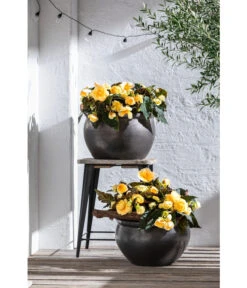 Dehner Keramik-Topf Bavaria, Bauchig -Markenqualität 167510 167544 167643 WE MO 005 KeramikPflanztopfBavariaglasiert