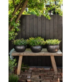 Dehner Keramik-Topf Bavaria, Bauchig -Markenqualität 167510 167544 167643 WE MO 006 KeramikPflanztopfBavariaglasiert