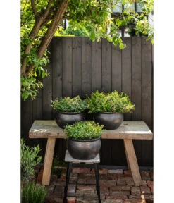 Dehner Keramik-Topf Bavaria, Bauchig -Markenqualität 167510 167544 167643 WE MO 007 KeramikPflanztopfBavariaglasiert