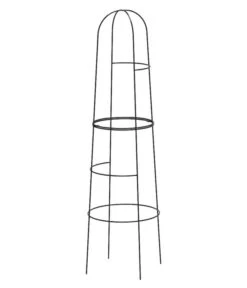 Dehner Obelisk Kuro