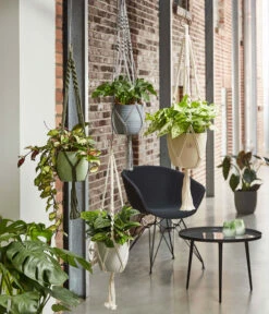 Dehner Makramee-Ampel -Markenqualität 2061968 4409132 WE MO 001 AmpelMakramee