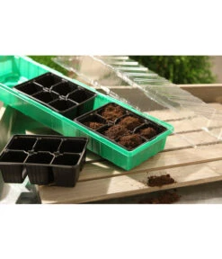 Dehner Zimmergewächshaus Frans, 54 X 15 X 12 Cm 8 Dehner Zimmergewächshaus Frans, 54 X 15 X 12 Cm -Markenqualität 207456 BildM 001 RombergZimmergewaechshausFransFensterbGewH54X15x12