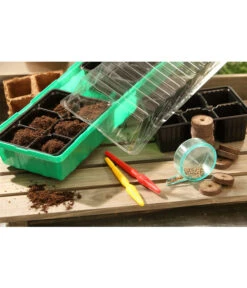 Dehner Zimmergewächshaus Frans, 54 X 15 X 12 Cm 9 Dehner Zimmergewächshaus Frans, 54 X 15 X 12 Cm -Markenqualität 207456 BildM 002 RombergZimmergewaechshausFransFensterbGewH54X15x12