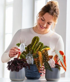 Dehner Keramik-Übertopf Mavie, Rund, Anthrazit 6 Dehner Keramik-Übertopf Mavie, Rund, Anthrazit -Markenqualität 220527 5356548 WE MO 001 ScheurichWasserspeicherBirdy