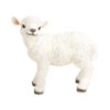 Polyresin Lamm Stehend, Weiß -Markenqualität 2451946 WE FS 001 PolyresinLammstehendwei39x22x36cm