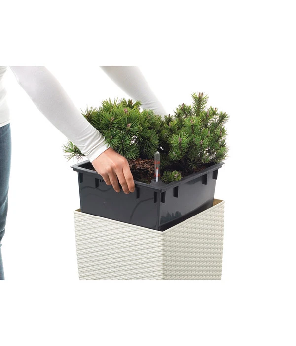 Dehner Kunststoff-Flechttopf Dallas, Quadratisch 16 Dehner Kunststoff-Flechttopf Dallas, Quadratisch – Bild 14