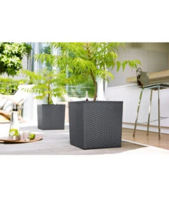 Dehner Kunststoff-Pflanztopf Dallas, Quadratisch, Ca. B35/H34/T35 Cm -Markenqualität 2460038 2460046 2460053 WE MO 001 KunststoffTopf36x36x36cm