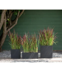 Dehner Kunststoff-Pflanztopf Dallas, Quadratisch, Ca. B35/H34/T35 Cm -Markenqualität 2460046 WE MO 003 DehnerKunststoffPflanztopfDallasquadratisch