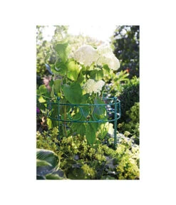 Dehner Metall-Pflanzenstütze Annabelle, Ca. H100 Cm -Markenqualität 2481539 WE MO 001 DehnerPflanzenstuetzeAnnabell