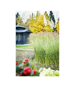 Dehner Metall-Pflanzenstütze Annabelle, Ca. H100 Cm -Markenqualität 2481539 WE MO 001 PflanzenstuetzeAnnabell