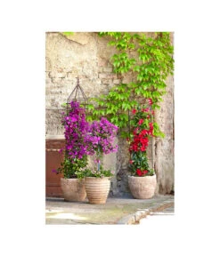 Dehner Halbobelisk -Markenqualität 2481976 2481596 2481927 WE MO 001 DehnerHalbobelisk