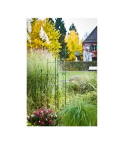 Dehner Halbobelisk -Markenqualität 2481976 WE MO 001 Halbobelisk