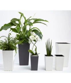 Dehner Kunststoff-Topf Elise, Konisch, Glänzend, Inkl. Bewässerungssystem 15 Dehner Kunststoff-Topf Elise, Konisch, Glänzend, Inkl. Bewässerungssystem -Markenqualität 2540136 MA FS 007 DehnerKunststofftopfElisemitSelbstbewaesserungsSystemca47x25x25cmanthrazit