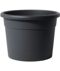 Dehner Kunststoff-Blumentopf Diana, Rund