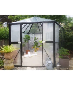 Dehner Pflanzen-Isolierfolie -Markenqualität 2590727 1007400 WE MO 003 DehnerPflanzenIsolierfolie