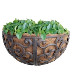 Dehner Gusseisen-Wandtopf, Ca. B29,5/H16,2/T16,2 Cm, Halbrund -Markenqualität 2745479 BildM 002 EsschertDesignWandtopfWandkorb35Cm