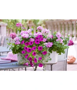 Dehner Kunststoff-Flechtkasten Dallas, Rechteckig -Markenqualität 2889723 2889822 WE MO 008 DehnerKunststoffFlechtkastenweissBlumentopfBlumenkasten