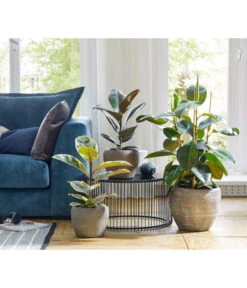 Dehner Keramik-Übertopf Kenia, Konisch, Braun -Markenqualität 2906469 WE MO 001 TopfKeniaBraun