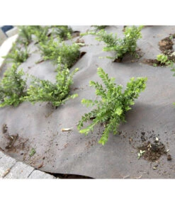 Dehner Rindenmulch-Unterlage, Ca. L300/B200 Cm -Markenqualität 3079696 BildM 002 RindenmulchUnterlageFuerDieGartenpflegeRindenmulchUnterlage2X3