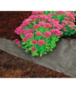 Dehner Rindenmulch-Unterlage, Ca. L300/B200 Cm -Markenqualität 3079696 WE MO 004 RindenmulchUnterlageMulchunterlageWurzelsperre