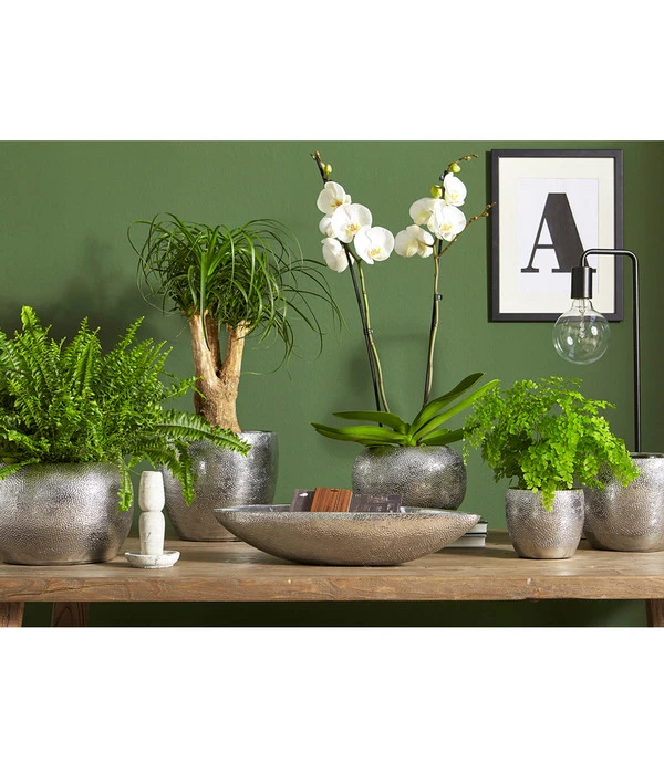 Dehner Keramik-Übertopf Rosella, Bauchig, Silber 5 Dehner Keramik-Übertopf Rosella, Bauchig, Silber – Bild 3