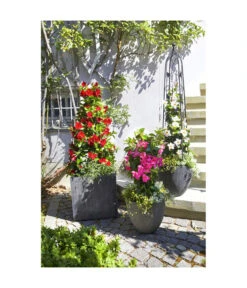 Dehner Polystone-Topf Brisbane In Riffeloptik, Rund 13 Dehner Polystone-Topf Brisbane In Riffeloptik, Rund -Markenqualität 3158847 3158870 3158888 3158995 3159092 3159126 WE MO 004 PolystoneTopfinRiffeloptikrundsand