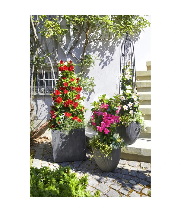 Dehner Polystone-Topf Brisbane In Riffeloptik, Rund 7 Dehner Polystone-Topf Brisbane In Riffeloptik, Rund – Bild 5