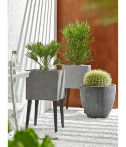 Dehner Polystone-Topf Brisbane In Riffeloptik, Rund 14 Dehner Polystone-Topf Brisbane In Riffeloptik, Rund -Markenqualität 3158847 3158870 3158888 WE MO 005 PolystoneTopfinRiffeloptik