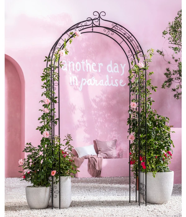 Dehner Metall-Rosenbogen Belmont, Ca. B121,5/H239/T38 Cm 4 Dehner Metall-Rosenbogen Belmont, Ca. B121,5/H239/T38 Cm – Bild 2