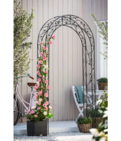 Dehner Metall-Rosenbogen Cornwall, Ca. B118/H236/T31 Cm -Markenqualität 3175122 WE MO 003 DehnerRosenbogenCornwall