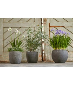 Dehner Polystone-Topf Kapstadt, Rund, Grau -Markenqualität 3207990 3208022 WE MO 002 DehnerPolystoneTopfbauchiggrau