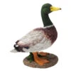 Dehner Polyresin-Ente 2 Dehner Polyresin-Ente -Markenqualität 3254794 WE FS 002 DehnerPolyresinEnte