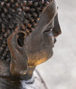 Dehner Polyresin-Gartenbrunnen Buddha, Ca. B49,5/H80,5/T49,5 Cm 18 Dehner Polyresin-Gartenbrunnen Buddha, Ca. B49,5/H80,5/T49,5 Cm -Markenqualität 3274511 WE DE 002 DehnerPolyresinGarenbrunnenBuddhaNEU