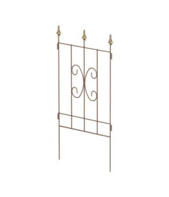 Dehner Kombi-Spalier Clematis, Rost/gold