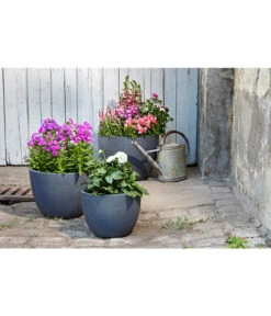 Dehner Leichtbeton-Pflanztopf Manchester, Rund, Antik-schwarz -Markenqualität 3337151 3337169 3337136 3337144 WE MO 002 DehnerLeichtbetonPflanztopfantikschwarz