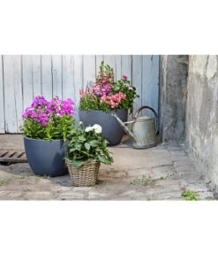 Dehner Leichtbeton-Pflanztopf Manchester, Rund, Antik-schwarz -Markenqualität 3337151 3337169 3337136 3337144 WE MO 003 DehnerLeichtbetonPflanztopfantikschwarz