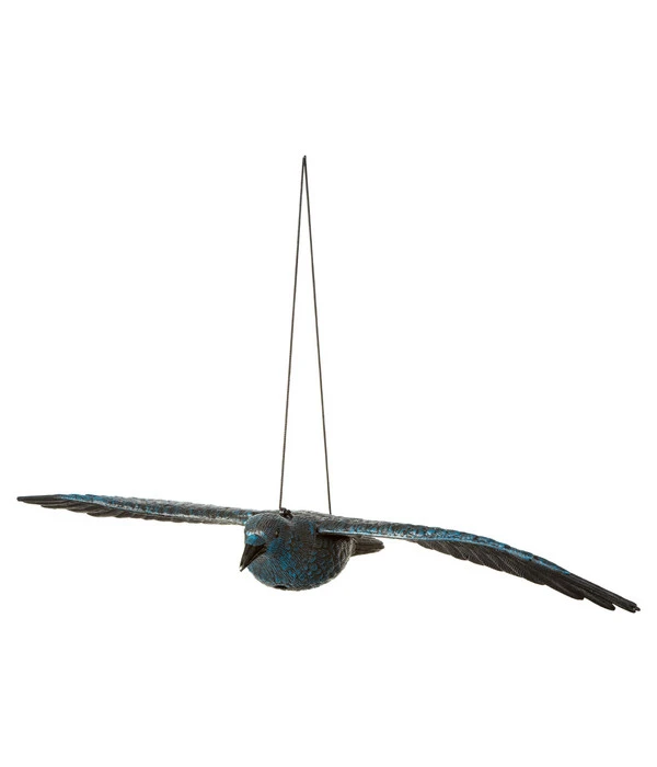 Dehner Rabe, Fliegend 3 Dehner Rabe, Fliegend