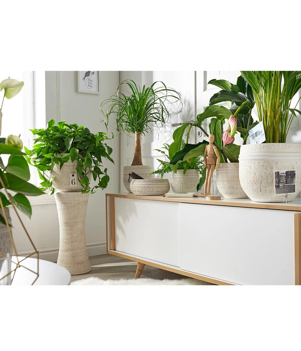 Dehner Keramik-Schale Rustika, Bauchig, Creme 4 Dehner Keramik-Schale Rustika, Bauchig, Creme – Bild 2