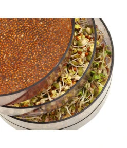 Dehner Sprossenhaus, 4 Schalen -Markenqualität 3677101 WE MO 002 DehnerSprossenhausKeimsprossen