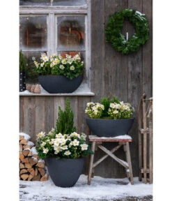 Dehner Kunststoff-Schale Miami, Rund, Anthrazit, Ca. Ø52/H20 Cm -Markenqualität 3694254 3693926 WE MO 001 KunststoffTopfStonekonischanthrazit