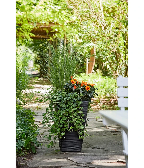 Dehner Kunststoff-Pflanzvase Capri, Anthrazit, Ca. B35/H55/T35 Cm 4 Dehner Kunststoff-Pflanzvase Capri, Anthrazit, Ca. B35/H55/T35 Cm – Bild 2