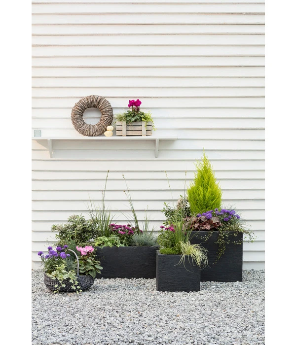 Dehner Kunststoff-Raumtrenner Palermo, Rechteckig, Anthrazit, Ca. B60/H60/T26 Cm 6 Dehner Kunststoff-Raumtrenner Palermo, Rechteckig, Anthrazit, Ca. B60/H60/T26 Cm – Bild 4