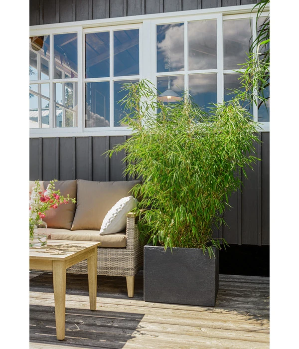 Dehner Kunststoff-Blumenkübel Palermo, Anthrazit 13 Dehner Kunststoff-Blumenkübel Palermo, Anthrazit – Bild 11