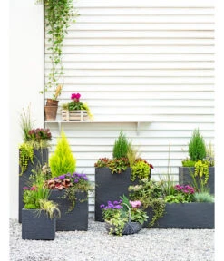 Dehner Kunststoff-Blumenkübel Palermo, Anthrazit 21 Dehner Kunststoff-Blumenkübel Palermo, Anthrazit -Markenqualität 3728110 3940764 3693611 WE MO 001 KunststoffPflanzkastenKubus