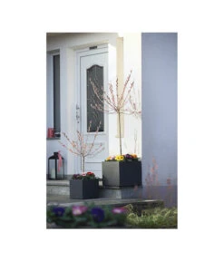 Dehner Kunststoff-Blumenkübel Palermo, Anthrazit 18 Dehner Kunststoff-Blumenkübel Palermo, Anthrazit -Markenqualität 3728110 WE MO 001 KunststoffTopfKubusAnthrazitBlumenkuebelBlumentopfKubus