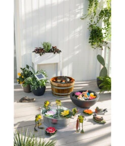 Dehner Kunststoff-Schale Miami, Rund, Anthrazit, Ca. Ø52/H20 Cm -Markenqualität 3923653 WE MO 003 EsotecSolarpumpensystemRiminiSPumpeWasserpumpeSolarpumpe